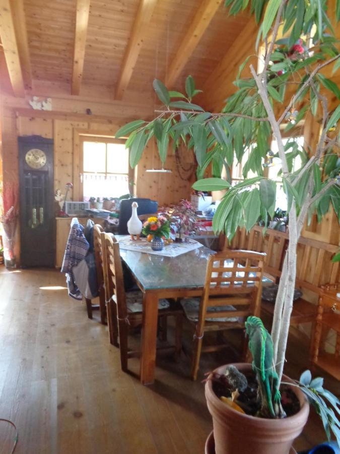 Barrierefreies Zimmer Im Blockhaus Mit Sauna Am See Soyen Exterior photo